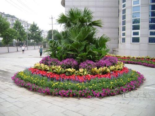 寧波綠植租賃案例